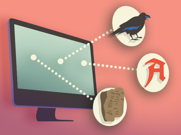 How can we better align the Rare Book webpages with visitor needs?